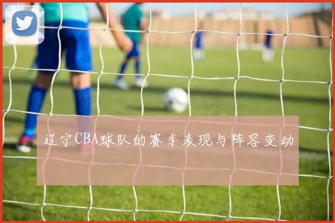 辽宁CBA球队的赛季表现与阵容变动