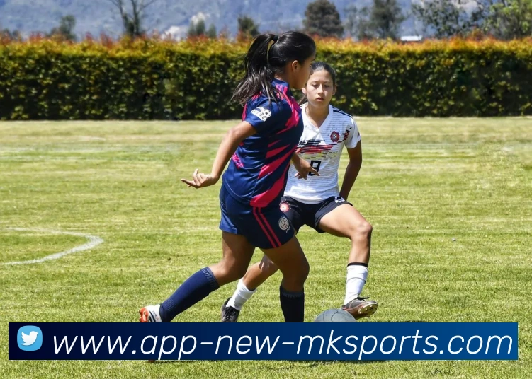 辅助工具 辅助工具